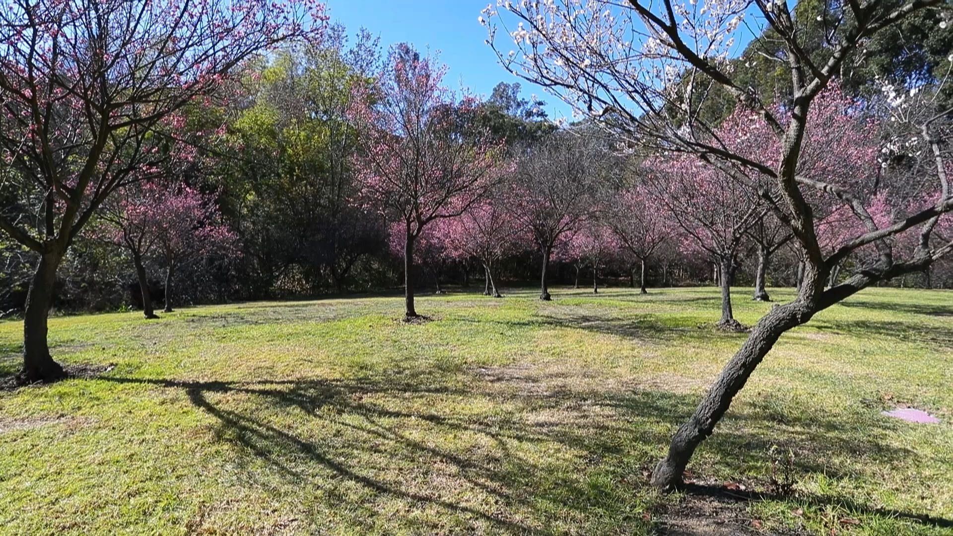 Edited_PeterFSchabarumRegionalPark-22-of-52-1920x1080
