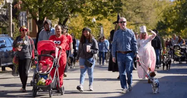 Living in the Central West End in the Fall: A Neighbor's Guide