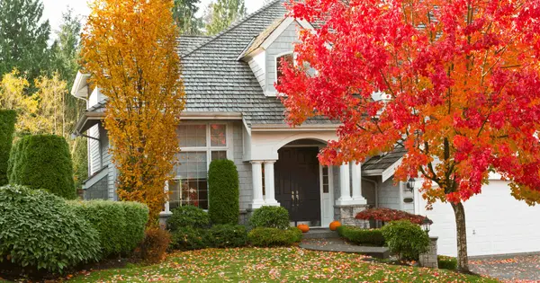 Selling a Parent's Home in St. Louis When They Move to Assisted Living,Shari Whay
