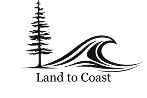 Keller Williams Jacksonville Realty