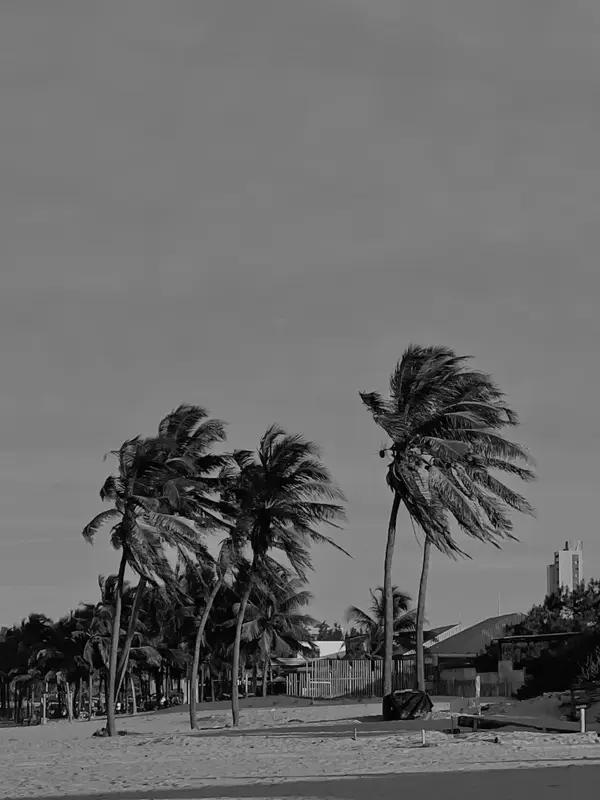 How Much Does an Oceanfront Home Cost in Ponte Vedra Beach?