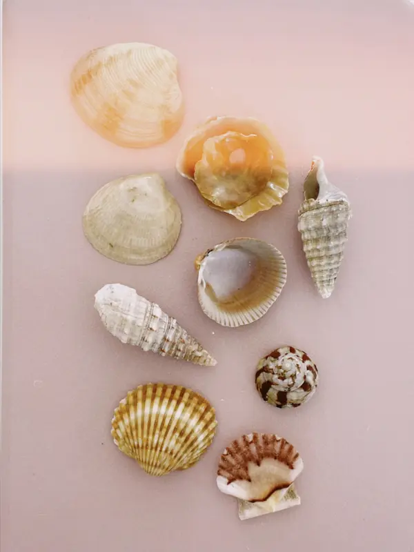 feature image of What Is the Best Time to Sell a Beach Home in Jacksonville, Florida?