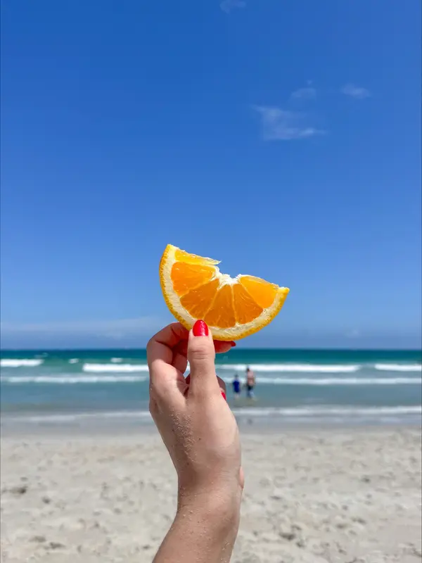 How to Buy a Home in Florida Before You Move: A Remote Buyer's Guide