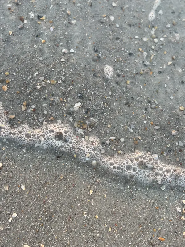 Best Luxury Beach Neighborhoods Near Jacksonville, Florida