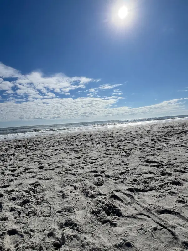 10 Fun and Surprising Facts About Jacksonville, Florida,Iva Zovko