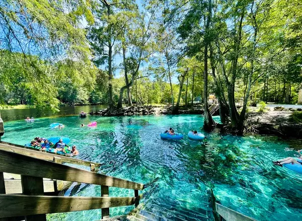 Summer Activities in Jacksonville, FL,Iva Zovko