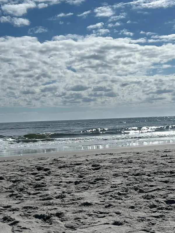 Seasonal Family Fun Guide: Jacksonville & Ponte Vedra Year-Round Activities