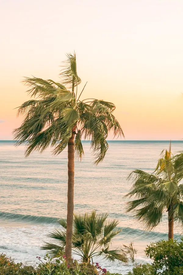 The Ultimate Guide to Moving to Florida’s Coastal Communities