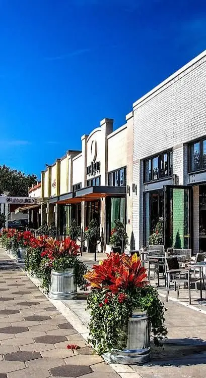 Neighborhood Spotlight: The Charm and Appeal of Historic Avondale