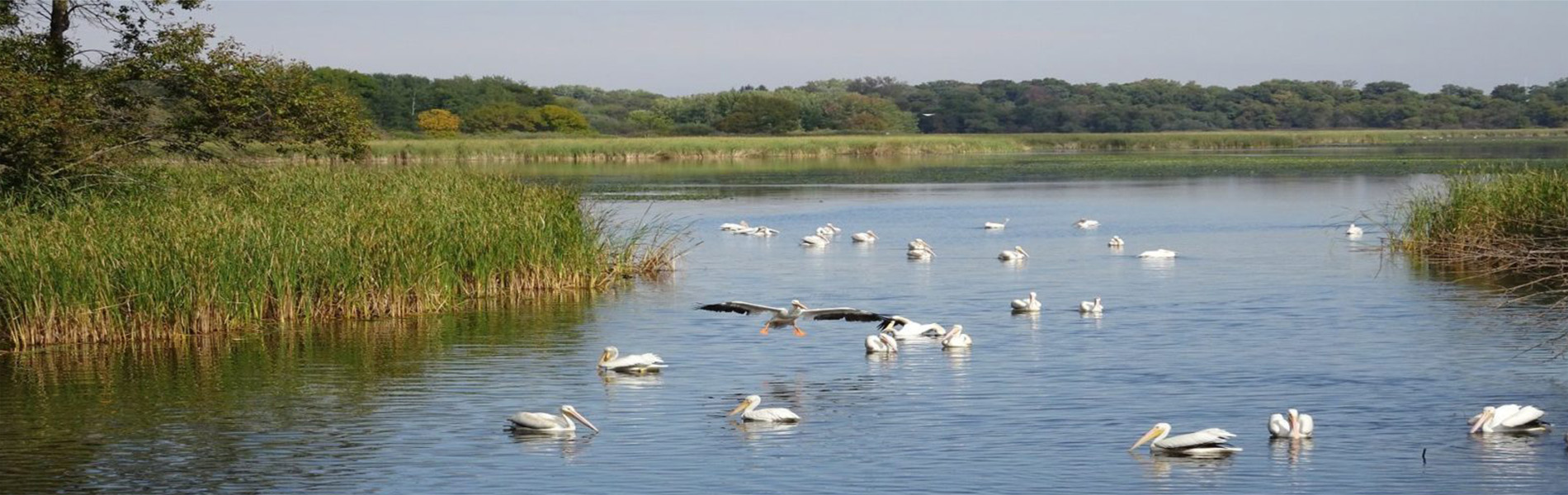 Lino Lakes Minnesota