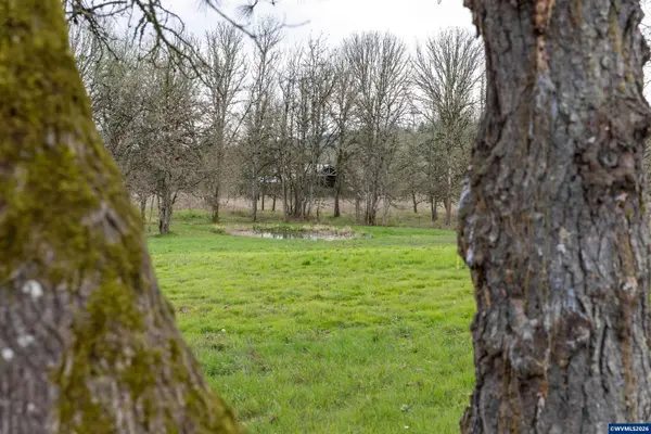 26724 Monroe Cemetery Rd, Monroe, OR 97456