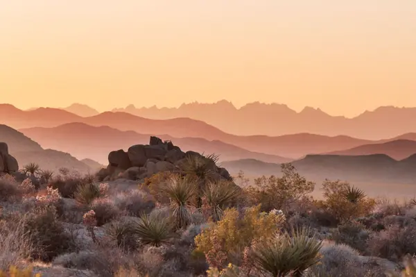 Jonathan Shoecraft Red Rock Real Estate Arizona Realtor (3)