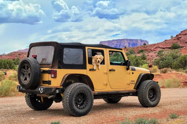 Jonathan Shoecraft Red Rock Real Estate Arizona Realtor (10)