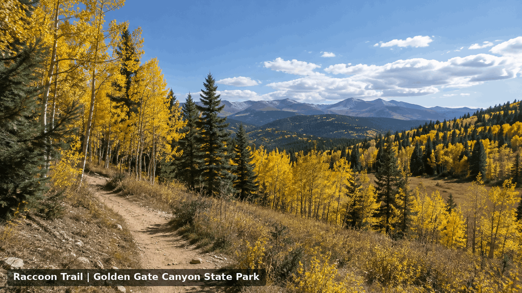 Raccoon Trail at Golden Gate Canyon State Park surrounded by golden fall aspens, evergreen forest, rocky terrain, and mountain views.