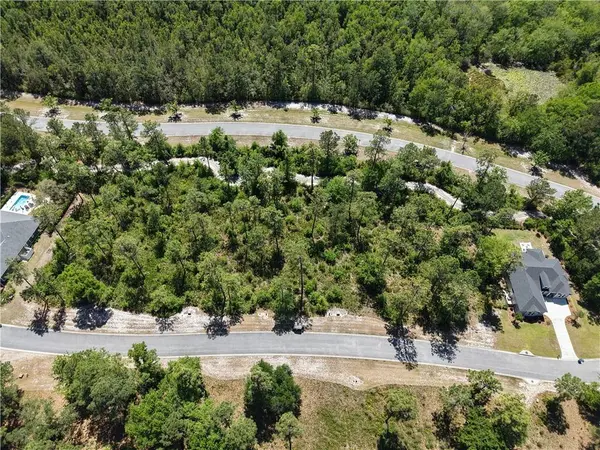 Lot 15 Blue Heron TRL, Waverly, GA 31565