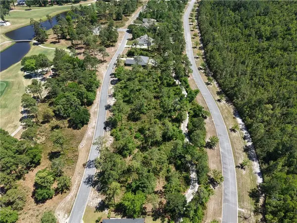 Lot 15 Blue Heron TRL, Waverly, GA 31565