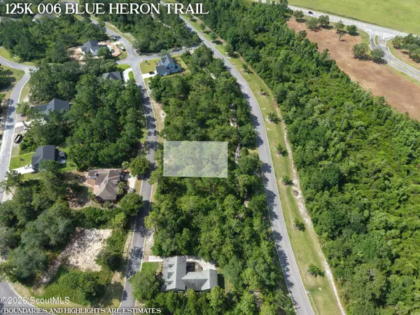 Lot 6 Blue Heron TRL, Waverly, GA 31565