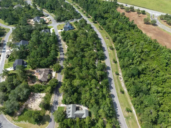 Lot 7 Blue Heron TRL, Waverly, GA 31565