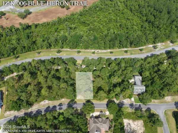Lot 6 Blue Heron TRL, Waverly, GA 31565