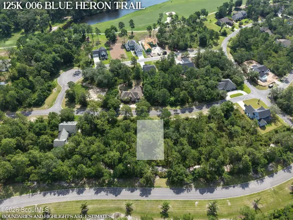 Lot 6 Blue Heron TRL, Waverly, GA 31565