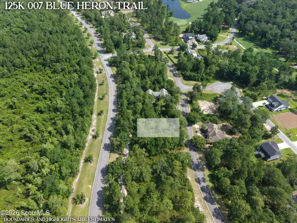 Lot 7 Blue Heron TRL, Waverly, GA 31565