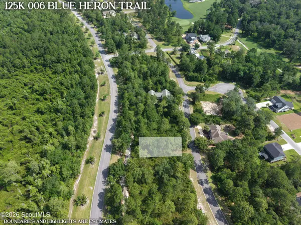 Lot 6 Blue Heron TRL, Waverly, GA 31565