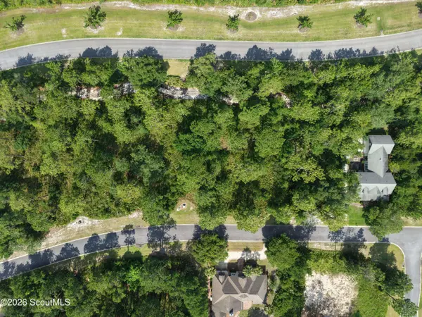 Lot 6 Blue Heron TRL, Waverly, GA 31565