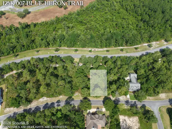 Lot 7 Blue Heron TRL, Waverly, GA 31565