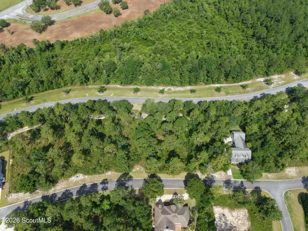 Lot 7 Blue Heron TRL, Waverly, GA 31565