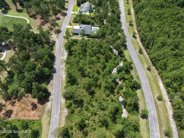 Lot 14 Blue Heron TRL, Waverly, GA 31565