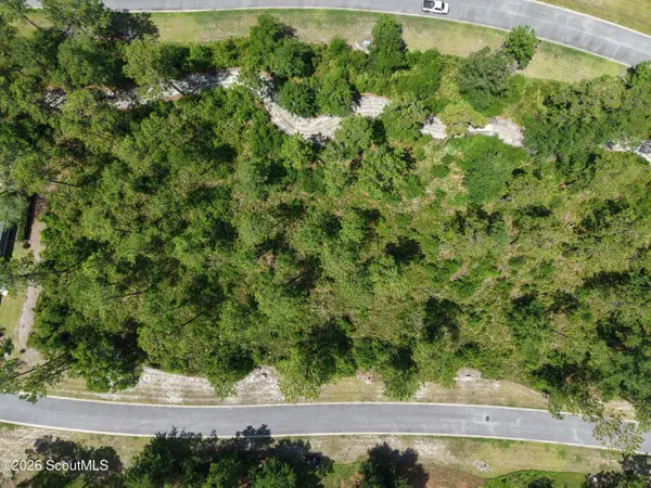 Lot 14 Blue Heron TRL, Waverly, GA 31565