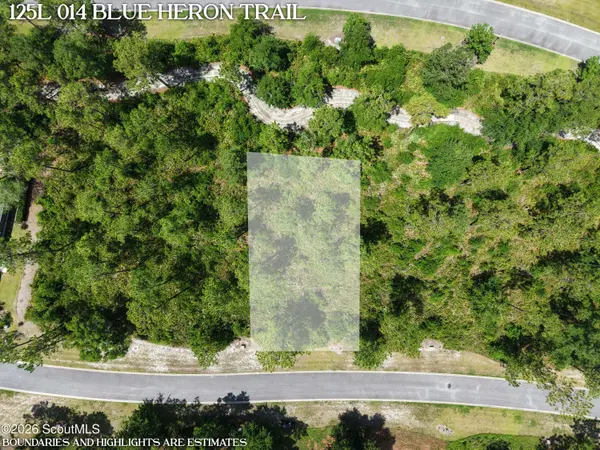 Lot 14 Blue Heron TRL, Waverly, GA 31565