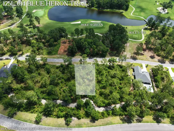 Lot 14 Blue Heron TRL, Waverly, GA 31565