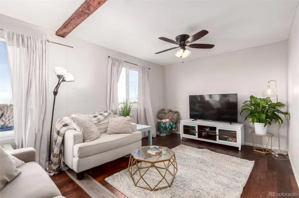 6193 Brantly AVE, Castle Rock, CO 80104