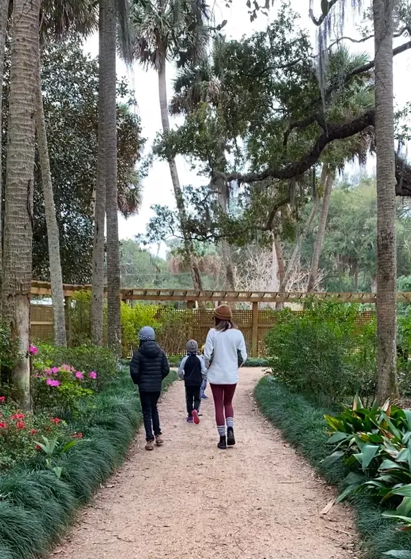 Exploring Nature: 3 Scenic Walking Trails in St. Augustine
