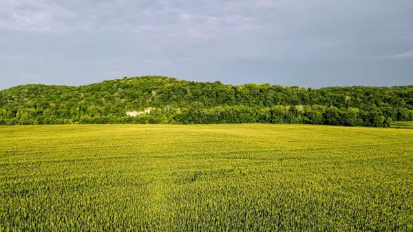 0 Beasleys Bend Rd, Lebanon, TN 37087