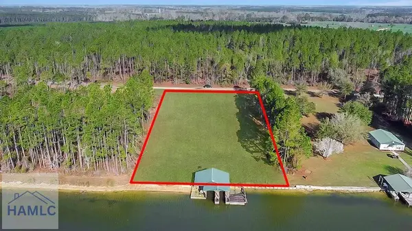 00 Jimmie Ree Lane, Bristol, GA 31518