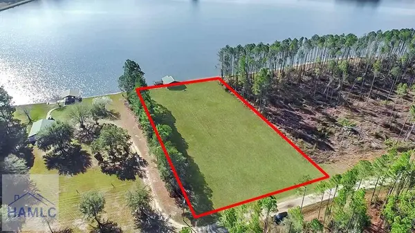 00 Jimmie Ree Lane, Bristol, GA 31518