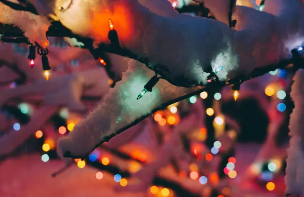 7 Holiday Curb Appeal Ideas: Quick Exterior Upgrades Before Family Visits