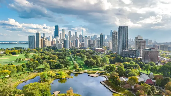 I’m A RealTrends-Recognized Real Estate Agent In Chicago, IL,Camie Cirrincione