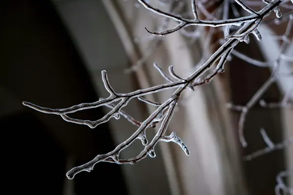 10 Tips to Winterize Your Home Before Cold Weather Hits