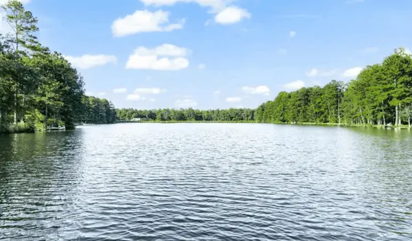 Lake Caroline, Virginia: Private Lake Access Less Than 2 Hours From DC,Jennifer Donaldson