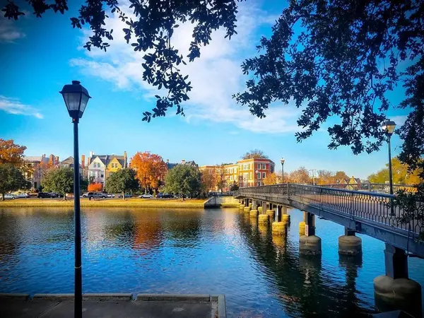 Why Everyone Loves Living in Ghent: A Neighborhood Snapshot