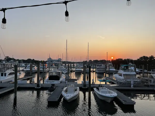 Discovering the Food Scene in Virginia Beach: Best Restaurants and Cafes