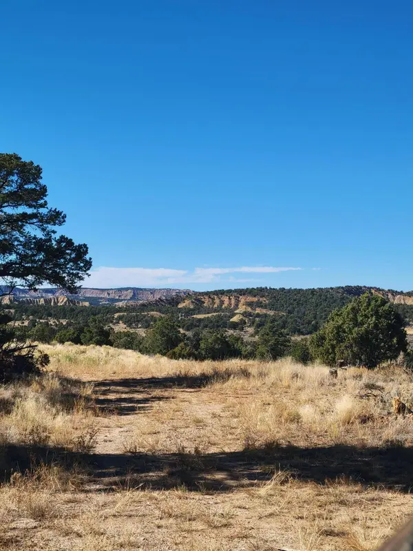 San Jose Trail, Regina, NM 87046