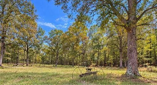 956 Plainville, Plainville, GA 30733