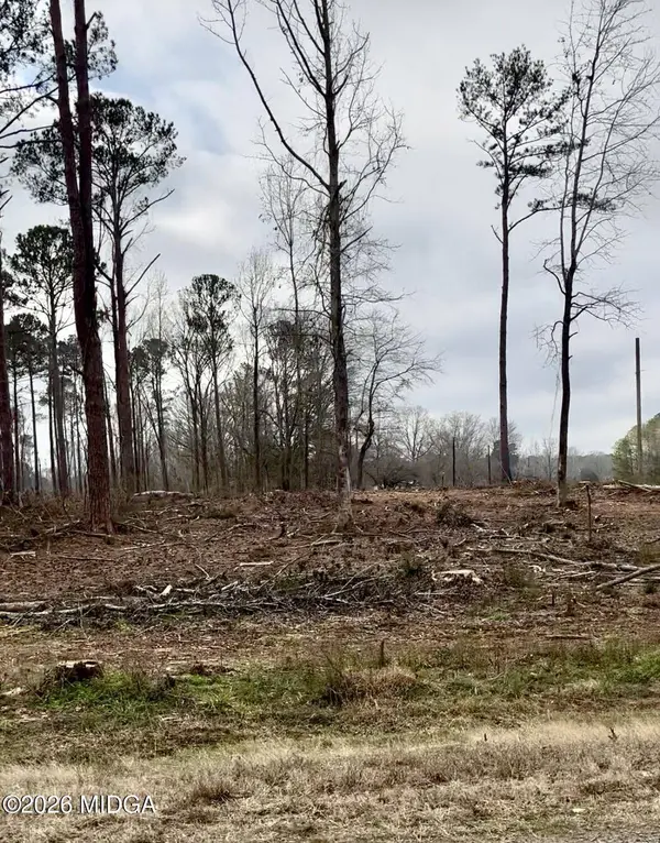 8290 Lower Thomaston Road, Macon, GA 31052