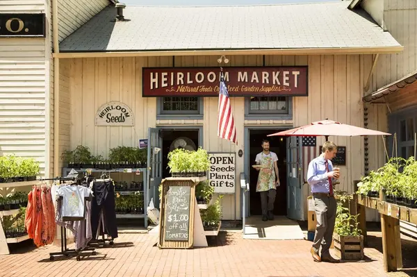 Living in Wethersfield: An Honest Local Guide (From Someone Who Lives & Works Here),Agnes Mroczka