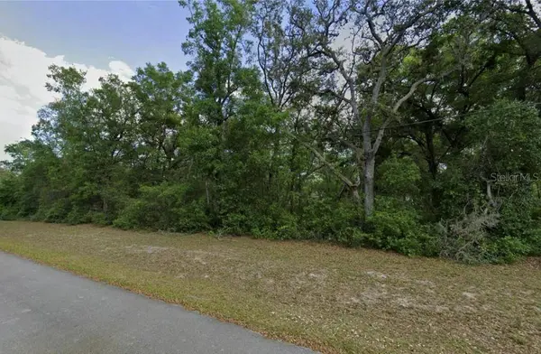 0 SE 59TH PL, Ocklawaha, FL 32179