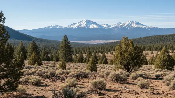 Bend vs. Eugene: The High Desert or the Valley?,Haley Overton